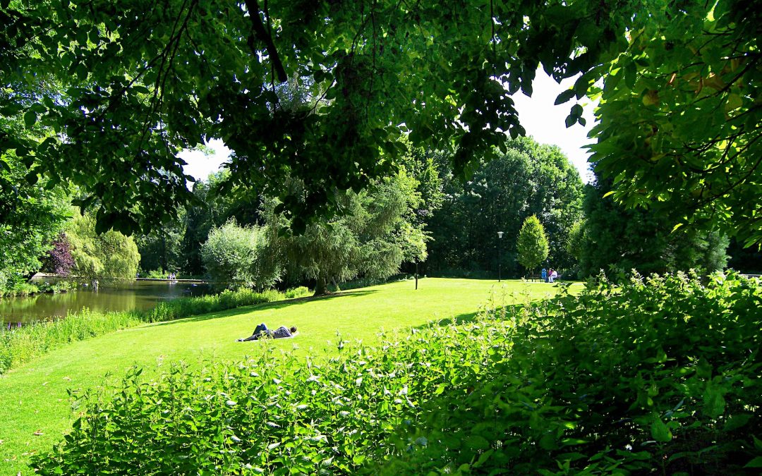 Del Barrio de la Serna a Le Parc de la Serna
