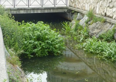 EL CHAMBERÍ COLINDRÉS