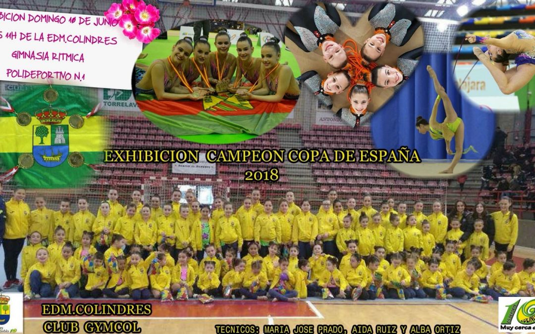 EXHIBICIÓN DE GIMNASIA RÍTMICA – DOMINGO 10 DE JUNIO DE 2018