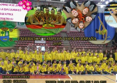 EXHIBICIÓN DE GIMNASIA RÍTMICA – DOMINGO 10 DE JUNIO DE 2018