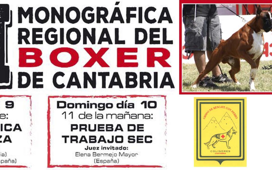 XII MONOGRÁFICA REGIONAL DEL BOXER DE CANTABRIA