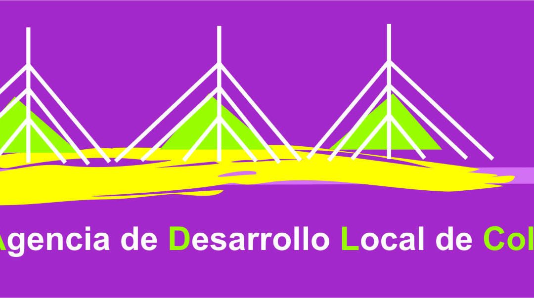 BASES Y CONVOCATORIA QUE REGULAN LA SELECCIÓN DE UN/A TRABAJADOR/A EN RÉGIMEN LABORAL TEMPORAL PARA EL PUESTO DE TRABAJO DE TÉCNICO/A COORDINADOR/A DE LA LANZADERA DE EMPLEO Y EMPRENDIMIENTO SOLIDARIO
