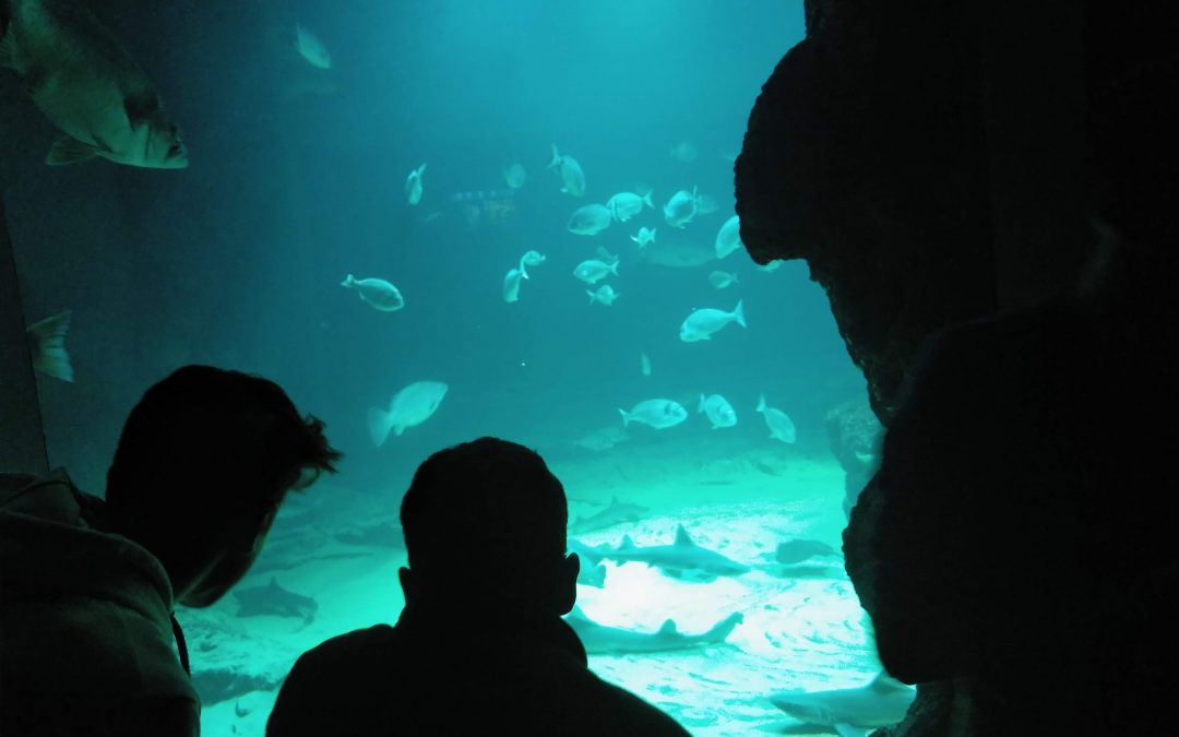 VISITA MUSEO MARITIMO