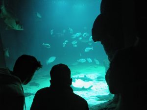 VISITA MUSEO MARITIMO