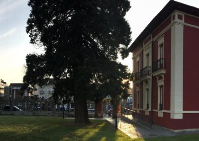 Subvención al sector de la distribución comercial minorista