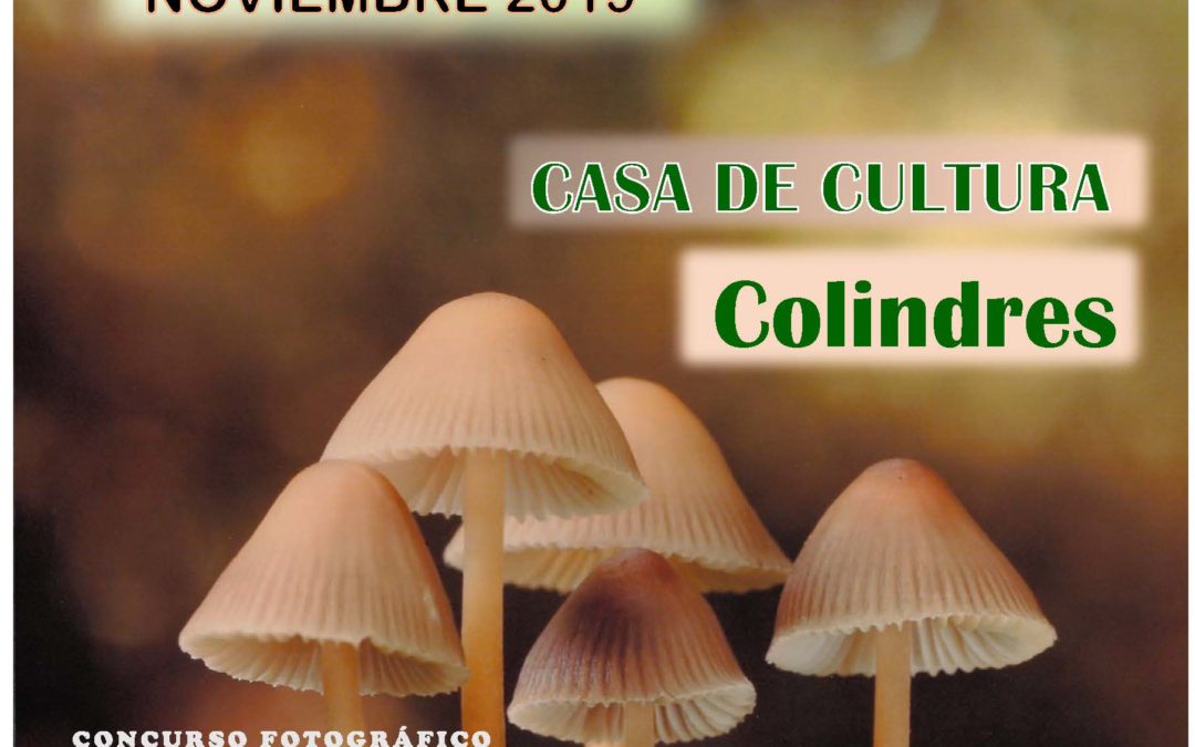 XXIX JORNADAS MICOLÓGICAS, 15, 16 y 17 de Noviembre de 2019