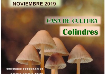 XXIX JORNADAS MICOLÓGICAS, 15, 16 y 17 de Noviembre de 2019