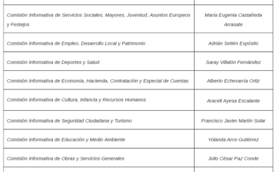 ANUNCIO DELEGACIÓN PRESIDENCIA COMISION INFORMATIVAS