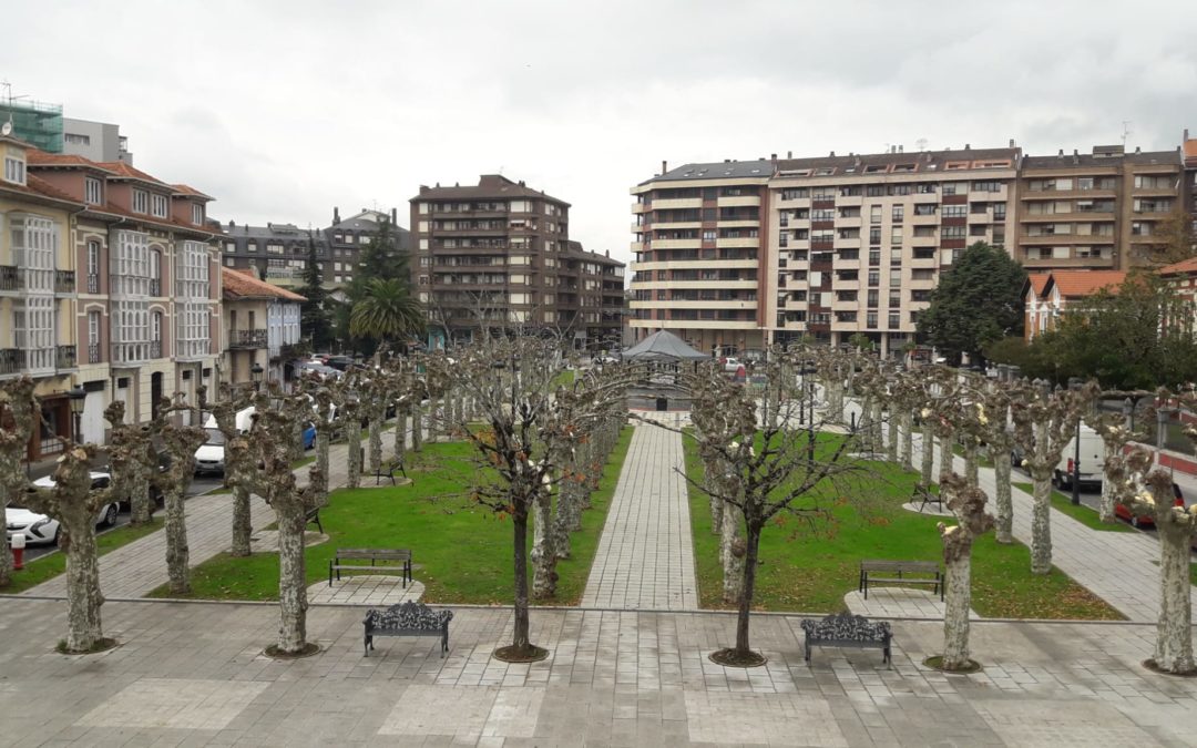 EL AYUNTAMIENTO DE COLINDRES SANEA EL ARBOLADO URBANO