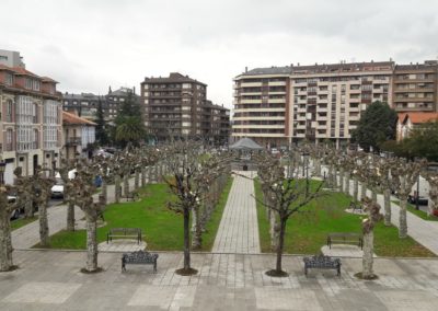 EL AYUNTAMIENTO DE COLINDRES SANEA EL ARBOLADO URBANO