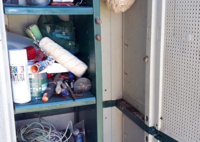 CAPTURADAS 800 AVISPAS ASIÁTICAS EN COLINDRES