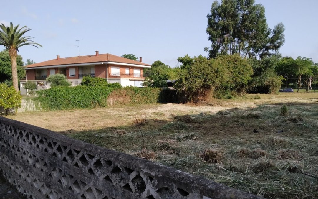 COLINDRES SOLICITA A VARIOS PROPIETARIOS EL MANTENIMIENTO Y DESRATIZACIÓN DE PARCELAS Y FINCAS PRIVADAS