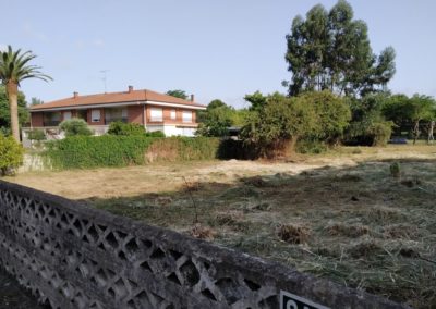 COLINDRES SOLICITA A VARIOS PROPIETARIOS EL MANTENIMIENTO Y DESRATIZACIÓN DE PARCELAS Y FINCAS PRIVADAS