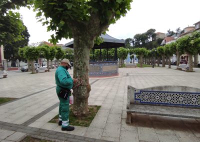 COLINDRES SANEA EL ARBOLADO DE LA ALAMEDA