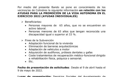 AYUDAS PARA LA PROMOCIÓN DE LA VIDA AUTONOMA EN EL EJERCICIO 2022 (AYUDAS INDIVIDUALES)