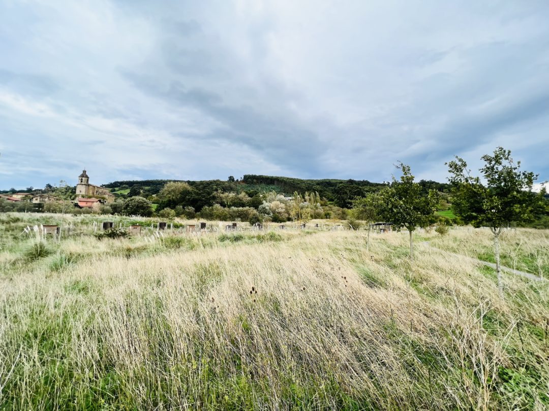 Colindres urge a la Consejería de Medio Ambiente la cesión de los terrenos del Parque del Tintero