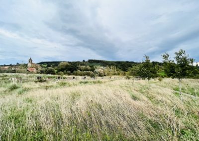 Colindres urge a la Consejería de Medio Ambiente la cesión de los terrenos del Parque del Tintero