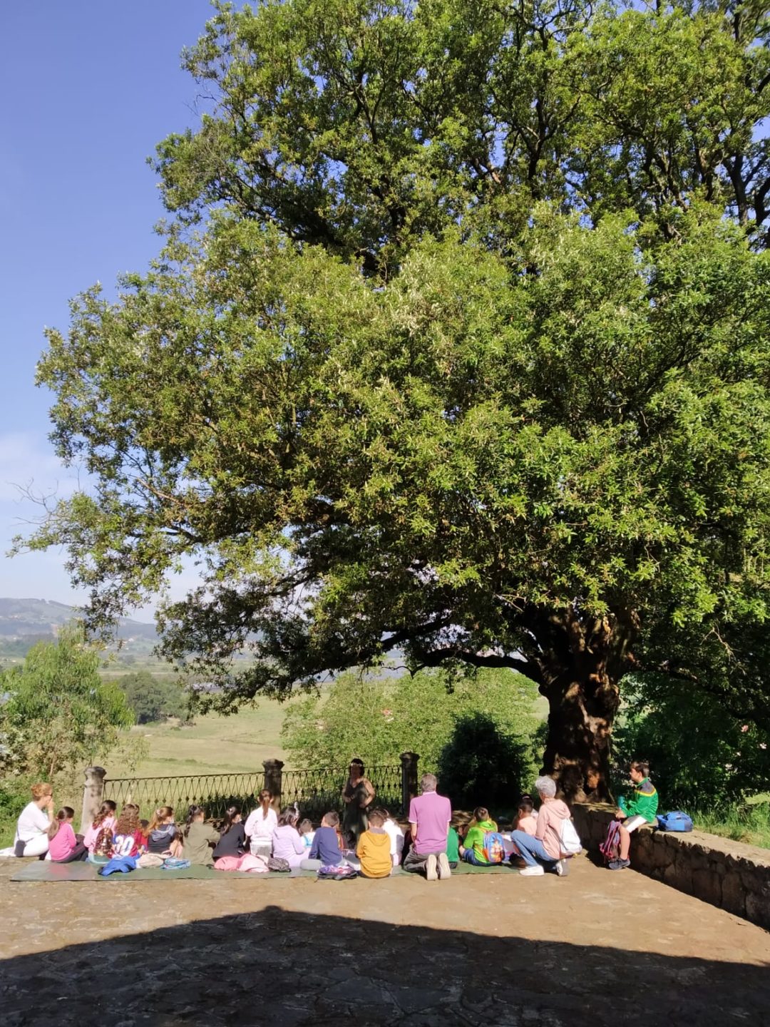 La Encina de San Roque de Colindres, candidata a Árbol del Año de España 2023