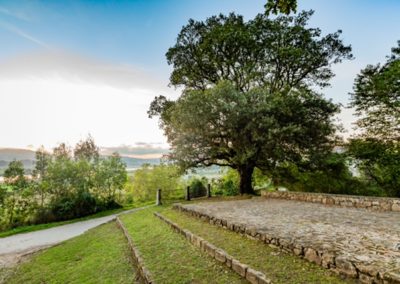 LA ENCINA DE COLINDRES CANDIDATA A MEJOR ÁRBOL DE EUROPA 2023