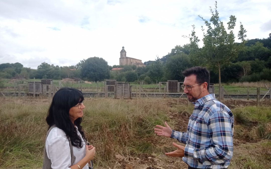 COLINDRES CONCEDERÁ MÁS DE 80 HUERTOS URBANOS A SUS VECINOS