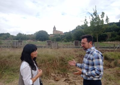 COLINDRES CONCEDERÁ MÁS DE 80 HUERTOS URBANOS A SUS VECINOS