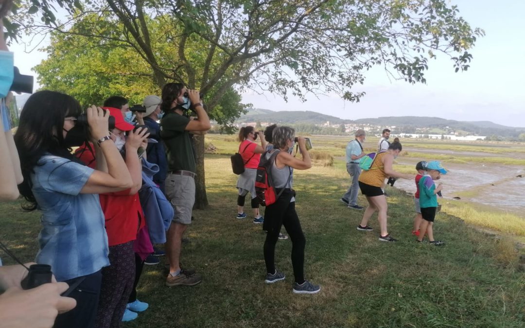 COLINDRES Y SEO/BIRDLIFE TRABAJAN EN LA CREACIÓN DE UN ÁREA DE ECOTURISMO EN EL ENTORNO DEL PASEO MARÍTIMO