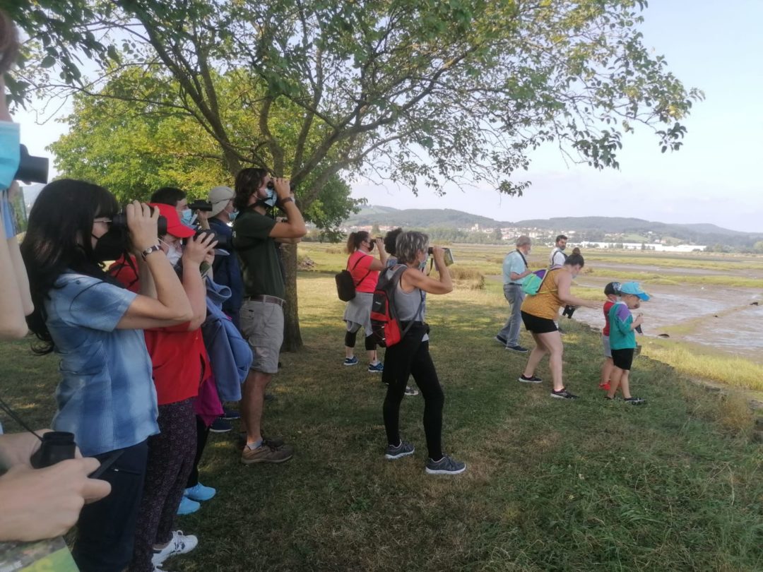 COLINDRES Y SEO/BIRDLIFE TRABAJAN EN LA CREACIÓN DE UN ÁREA DE ECOTURISMO EN EL ENTORNO DEL PASEO MARÍTIMO