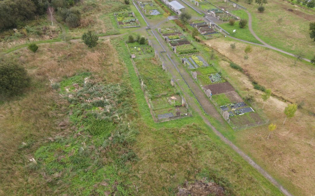COLINDRES PRESENTARÁ ALEGACIONES AL TREN DE ALTAS PRESTACIONES SANTANDER-BILBAO