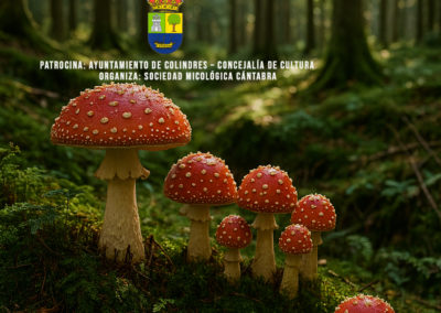 Colindres celebra este fin de semana la XXXIII edición de las Jornadas Micológicas.