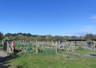 COLINDRES IMPARTE UN CURSO DE INICIACIÓN A LA AGRICULTURA ECOLÓGICA