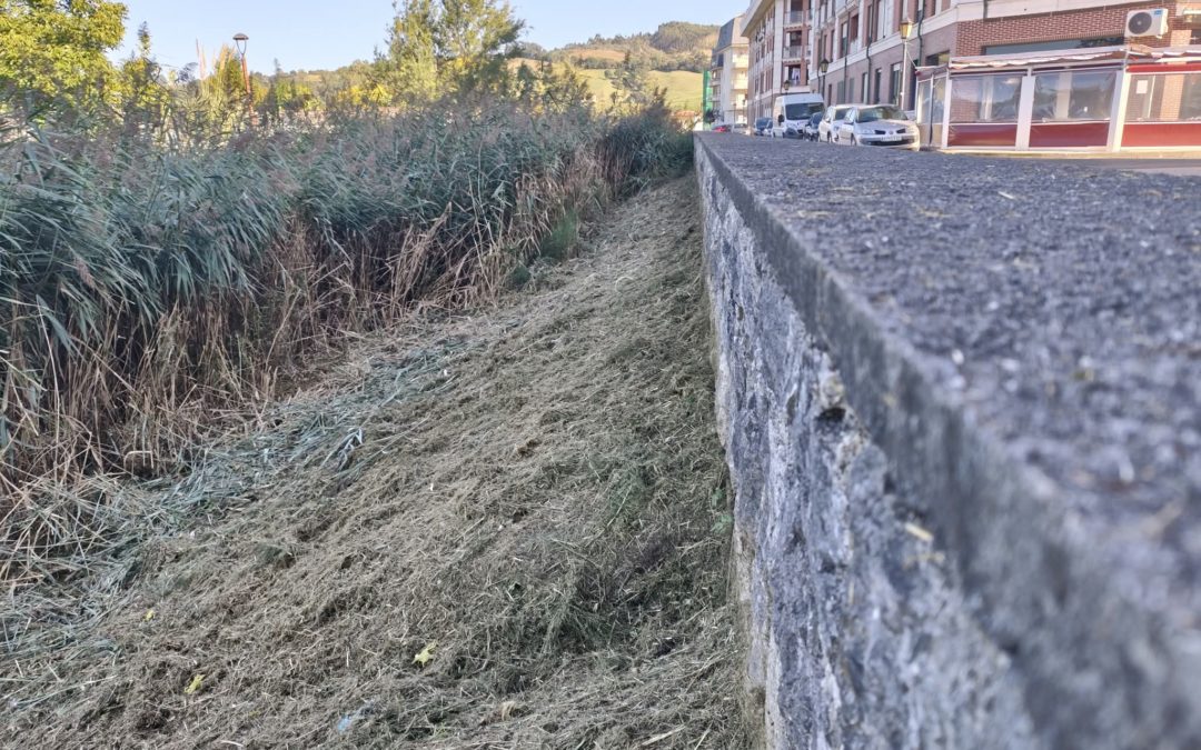 Colindres inicia los trabajos de desbroce y limpieza del Regato Madre