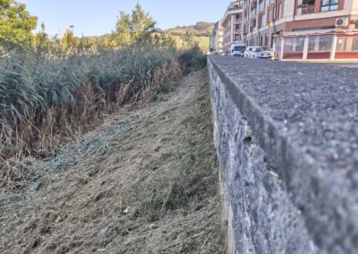 Colindres inicia los trabajos de desbroce y limpieza del Regato Madre